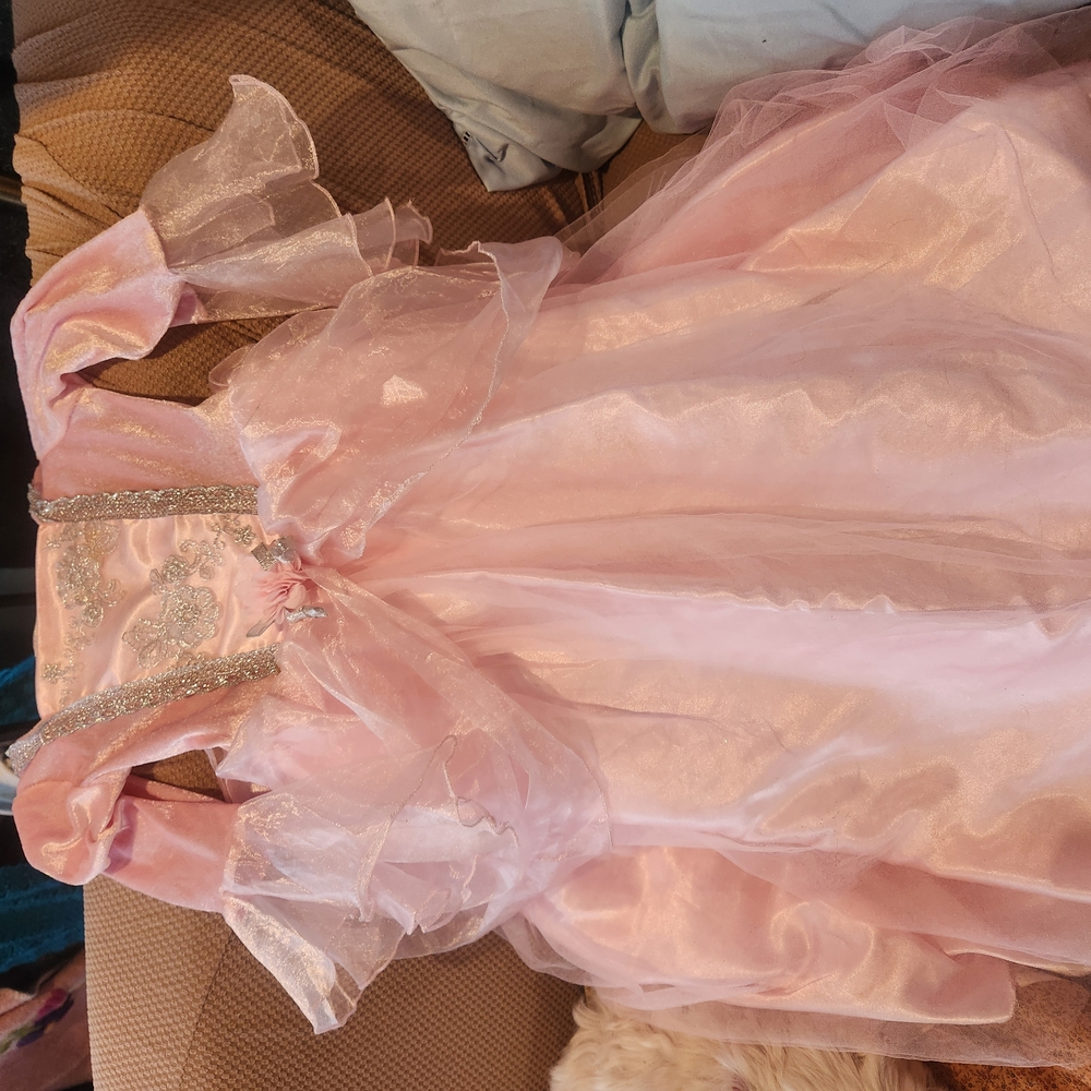 Pink Princess Dress with Silver Accents